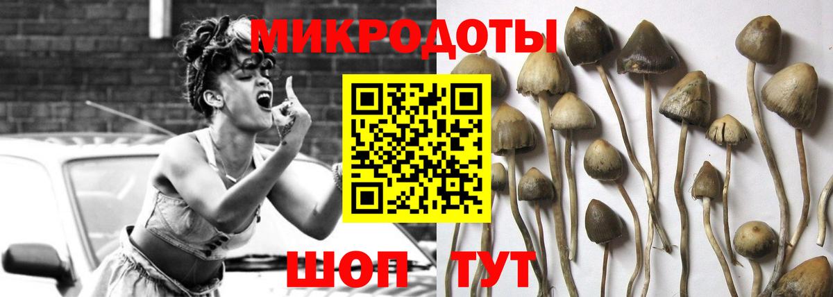 Минусинск  Псилоцибиновые грибы GOLDEN TEACHER  Вход с VPN  Псилоцибиновые грибы Psilocybe 