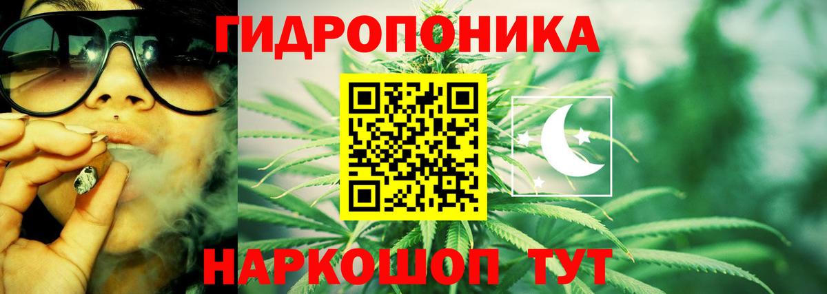 Бошки Шишки гибрид Минусинск